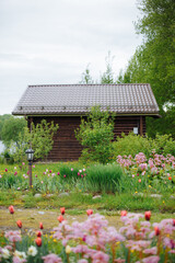 Blooming spring garden on the background of a wooden building. Vacation home