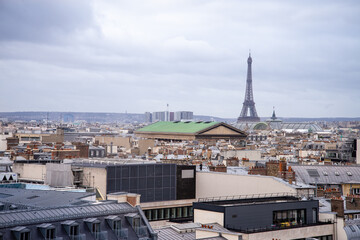 View of the Eiffel Tower towering over the city roofs against a cloudy sky