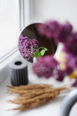 Reflection composition of lilac flowers and mirror. Minimalism decor.