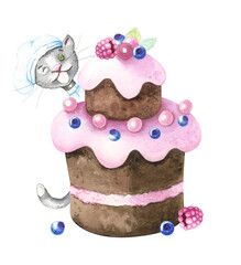 Chef cat in chef's clothes with chocolate cake with berries.