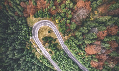 Aerial view of curly road framed by forest