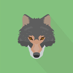 Wolf on a green background.