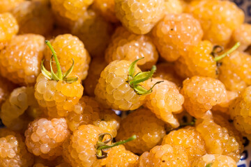 Pile  of fresh ripe  yellow raspberries.