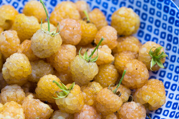 Blue plate full of fresh yellow raspberries on garden table.