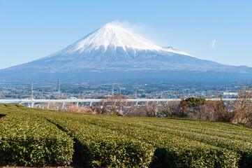 Fototapeta premium Mount Fuji with snow and green tea plantation in Yamamoto, Fujinomiya city, Shizuoka Prefecture, Japan. Aerial view of Fujinomiya city and Shin-Tomei Expressway.