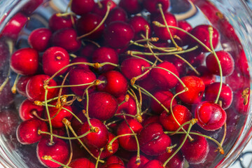 Cherries in water in glass bowl on the  garden table.