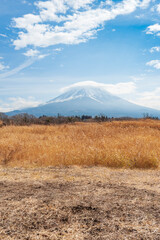 Fototapeta premium Beautiful landscape with Mount Fuji with snow and hat shaped cloud. Vertical shot. Photo taken from National Route 139 in Minamitsuru-gu, Fujikawaguchiko, Yamanashi Prefecture, Japan.