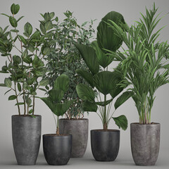 3d illustration exotic plants in a rusty pot on grey background