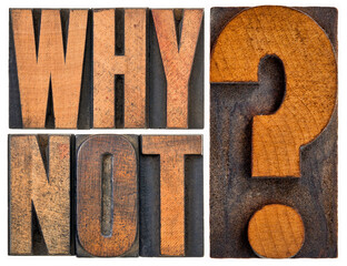 Why not question in letterpress wood type blocks isolated on white, teasing concept
