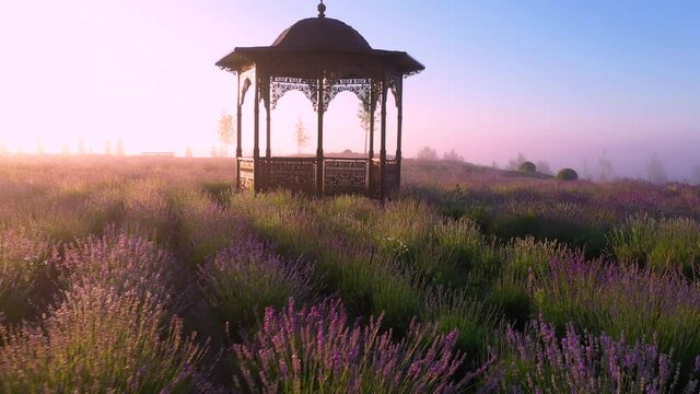 Romantic gazebo in the park at dawn. The sun's rays shine on the morning mist, creating a mystical romantic atmosphere.