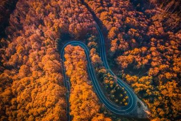 Foto op Aluminium Aerial view of Transfagarasan road at autumn forest © Ievgen Skrypko