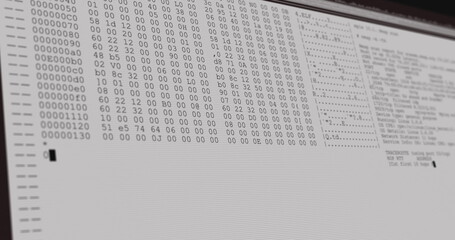 Obraz premium Image of data processing on grey computer screen
