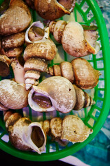 fresh seafood at the market