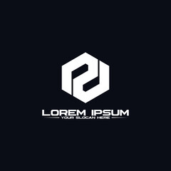 Letter PD hexagon logo design vector