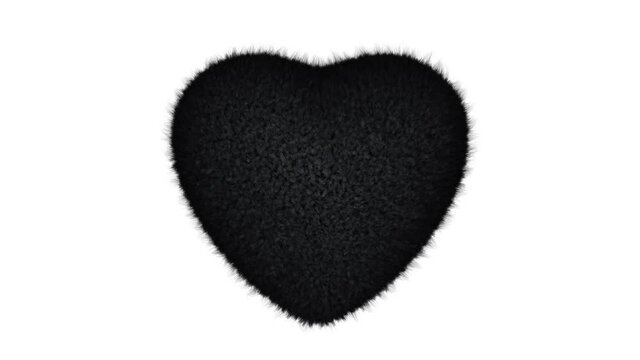 Realistic looping 3D animation of the black fluffy beating fur heart rendered in UHD with alpha matte
