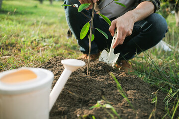 young man gardener, planting tree in garden, gardening and watering plants