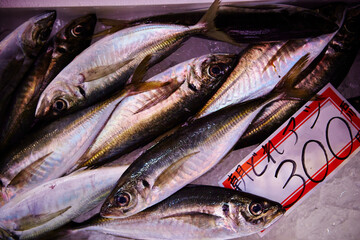 fresh fish at the market
