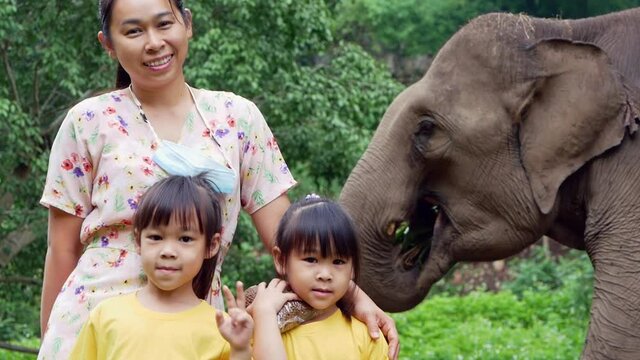 Happy family taking pictures with elephants eating corn in the elephant camp. Children go on vacation with their families at the zoo.