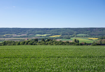 Fototapeta na wymiar Spring green landscape in Germany