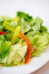 salad with lettuce and cheese