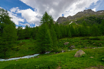 alpin scenery with a river near Ischgl