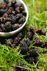 mulberries in a white plate on green grass