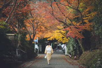 Japanese Kimono Woman, Autumn Kyoto, Japan