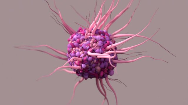 Dendritic Cells, responsible cells protection of the body, important role in the immune system.