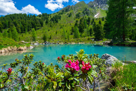 Alpin scenery nexto to Berglisee, Ischgl (Tyrol, Austria)
