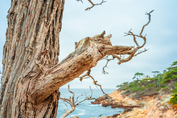 Scenic view of the rocks in the Pacific Ocean on the coast in California