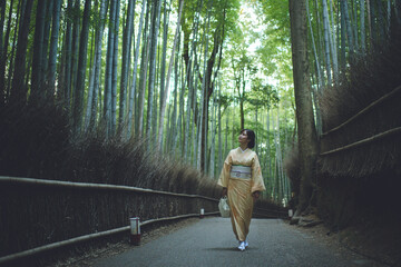 秋の京都嵐山　女性着物　古き良き日本