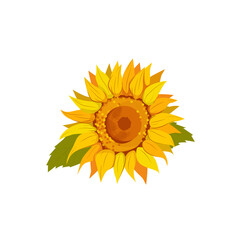 One vector beautiful sunny sunflower in cartoon style, isolated on a white background