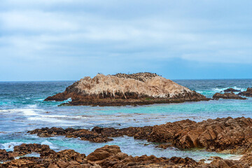 Scenic view of the rocks in the Pacific Ocean on the coast in California