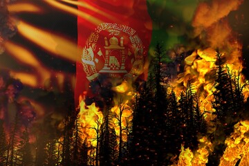 Forest fire natural disaster concept - heavy fire in the trees on Afghanistan flag background - 3D illustration of nature