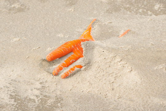 Orange glove in the sand of a beach.