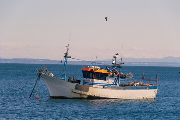 Fishing boat sailing in harbour
