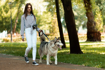 Walk with a husky in the park on a leash. Nurse for a dog, walking the animal.