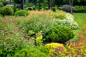 garden bed with bushes and flowers landscaping with plants for backyard decor in summer season in the background a park with trees, nobody.