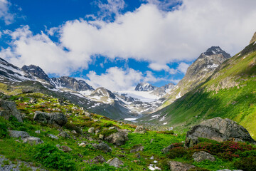 Fototapeta premium alpin landscape during summer (Montafon, Austria)