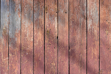 Fototapeta premium Smooth fence boards, covered with a peeling layer of brown paint