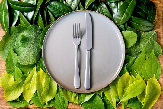 Empty ceramic plate on background made of green leaves