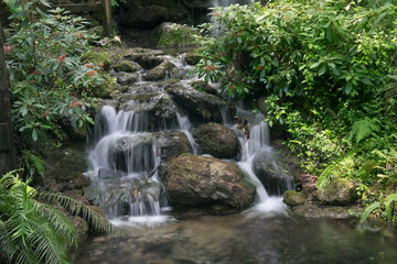 Glistening waterfall at Rainvow Springs  in a tropical environment