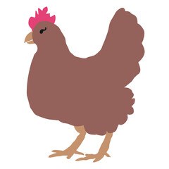 chicken. doodle. flat. Hen. cock. bird. cartoon 