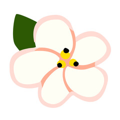 Tropical plumeria icon on white background isolated. Simple element