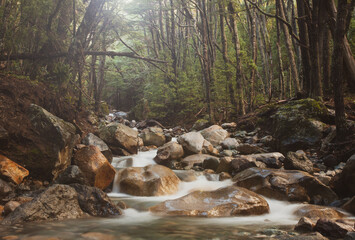 waterfall in the forest