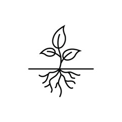 plant root logo icon design template vector