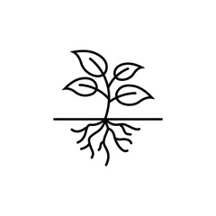 plant root logo icon design template vector