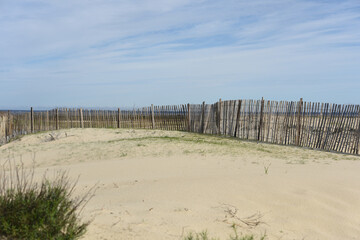 wooden barrier to protect the dune