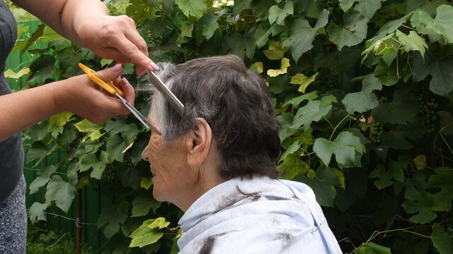 Woman Hands Trim Hair On Temple Of Senior Person With Half Gray Haired Short Haircut. Female Hands Hold Metal Comb And Scissors While Cutting Gray Hair Of 80s Senior Person At Backyard Outdoors