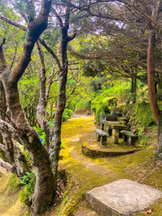 Tables made with stones ready to have a picnic in the nature.